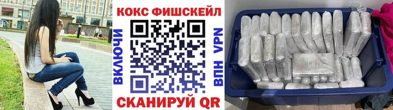 COCAIN Fish Scale Устюжна