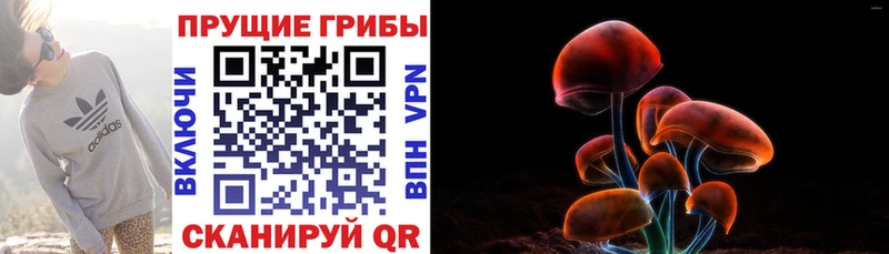 Псилоцибиновые грибы Cubensis  Устюжна 